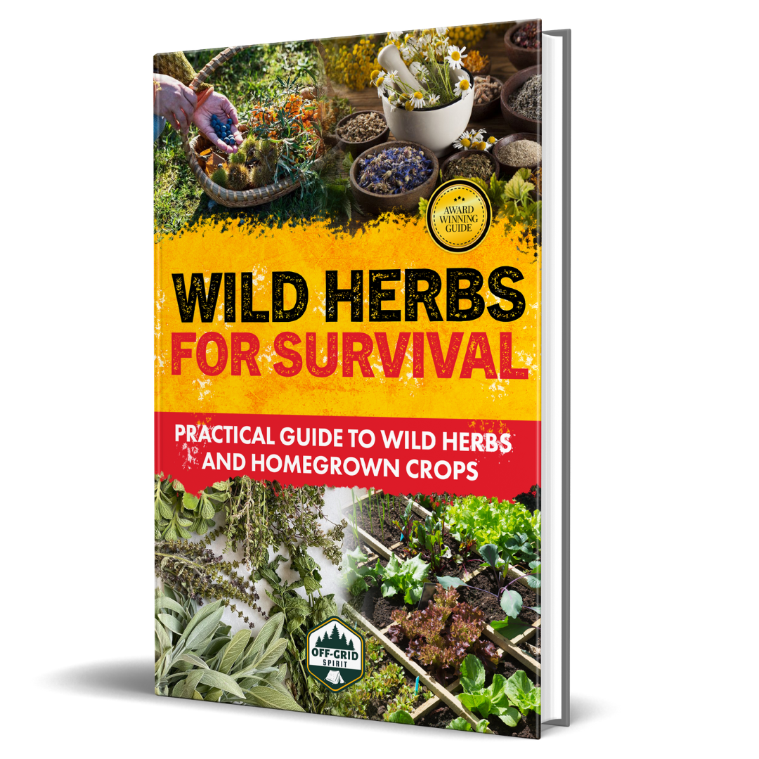 Wild Herbs for Survival